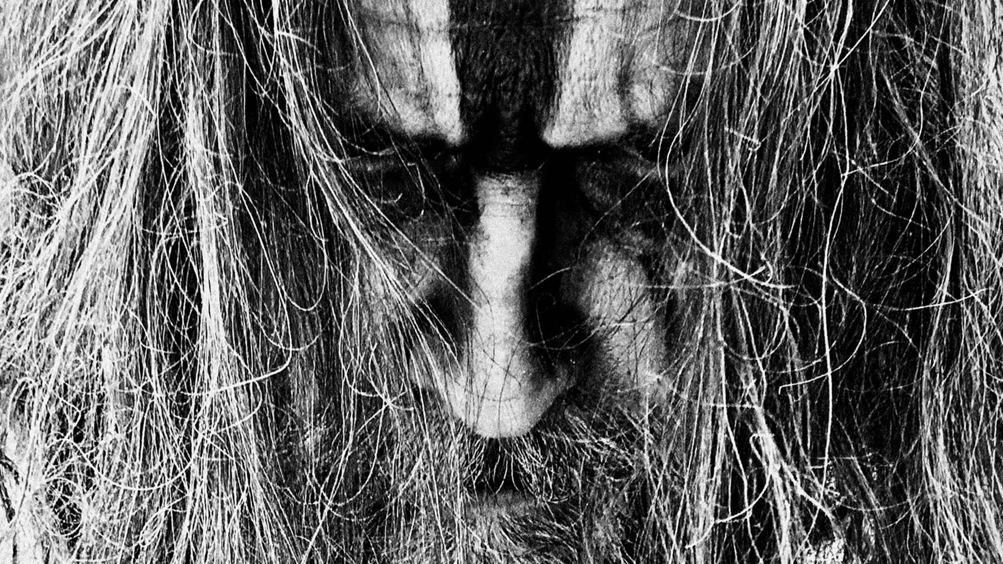 Rob Zombie The Great Satan